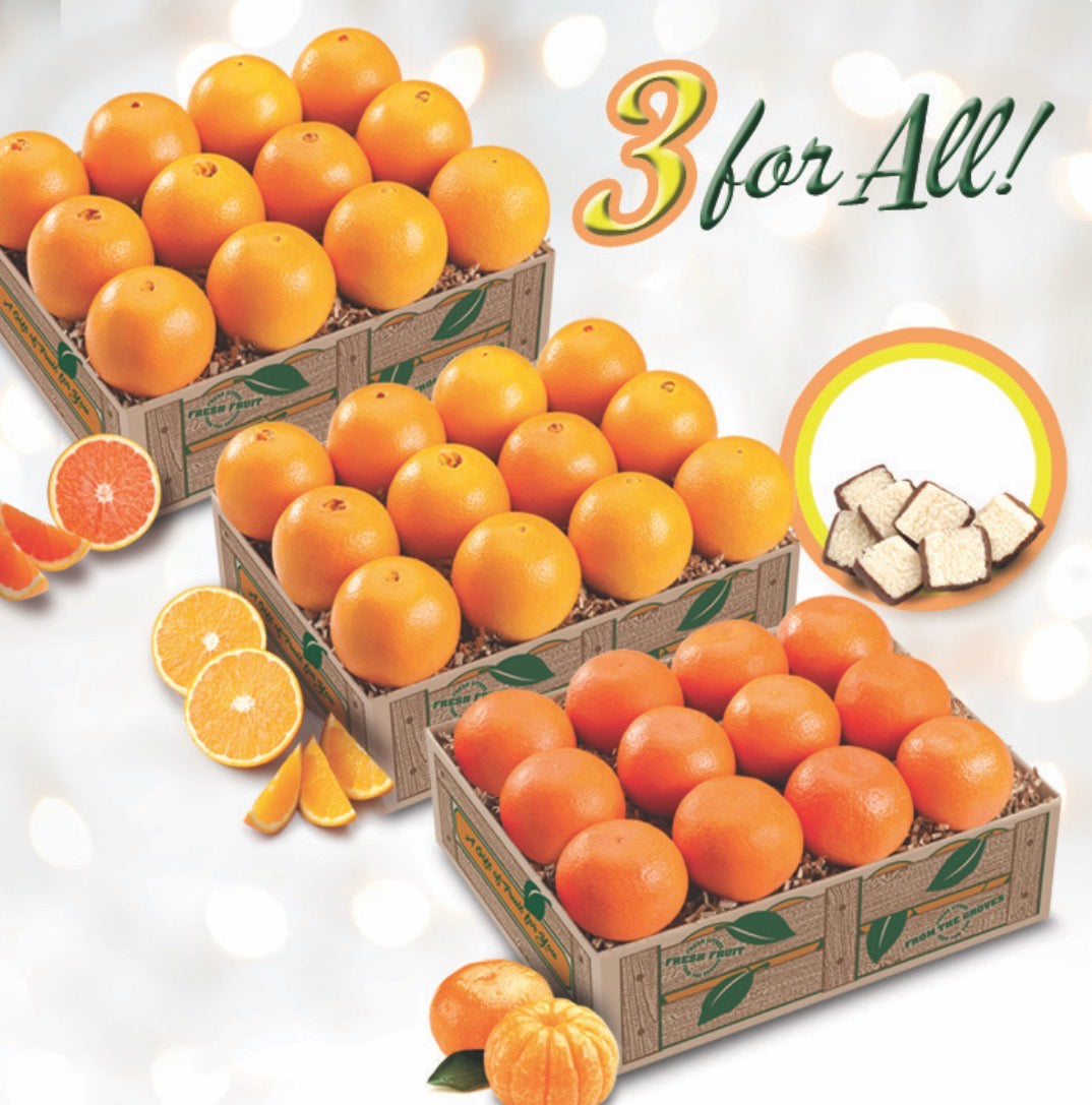 3 For All