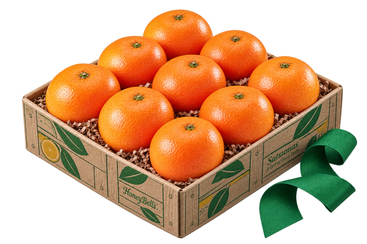 The Satsuma Taster