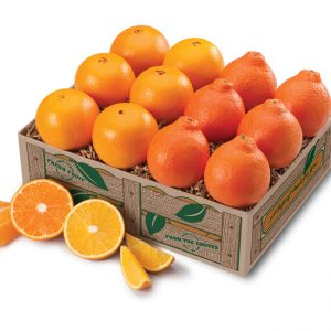 Honeybells and Navels