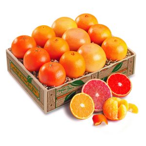 Sun-Kissed Sampler
